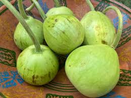 Kadu Bottle Gourd All Green - Summer Vegetable